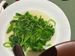 -老吉堂上海本帮菜(望京万象汇店)