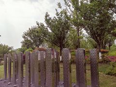 -府河摄影公园