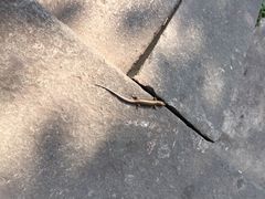 iphone_upload_pic-杭州黄龙洞