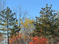 -春晖园度假酒店温泉