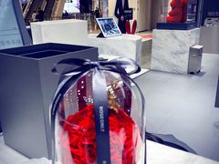 -ROSEONLY诺誓(青岛万象城店)