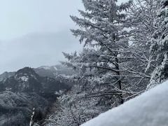 -秦岭风景区