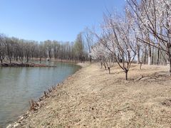 -东郊湿地公园