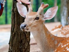 -南戴河国际娱乐中心