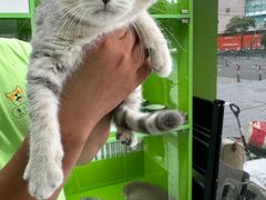 -唐小姐の猫狗洗护·购宠旗舰店(周浦万达店)