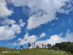 -朱雀国家森林公园