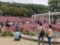 -牛岗山公园