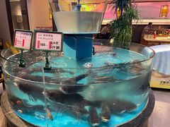 -魏铭鱼头捞饭(晋阳路店)