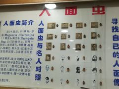 -上海大自然野生昆虫馆(东方明珠·爬宠昆虫探索中心)