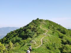 -大觉寺-停车场