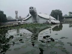 -东方巨龟苑景区