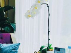 -子霖南山鲜虾面(南山总店)