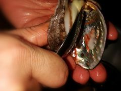 -雅盛品931海鲜酒家