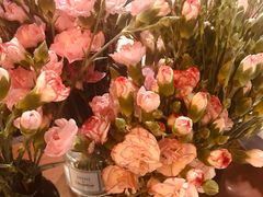 -参差咖啡(水果湖公园店)