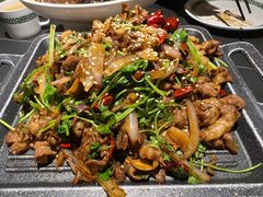 -三强鸽子(中原路店)