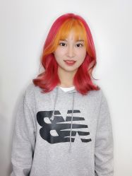 -YESIDO椰岛造型