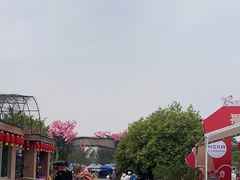 -天适樱花悠乐园