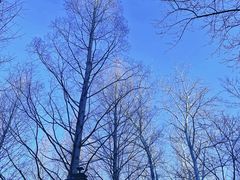 -白水寺森林公园