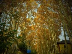 -T80科技文化国际社区-停车场