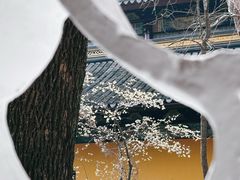 -西园寺素食(西园弄戒幢律寺店)