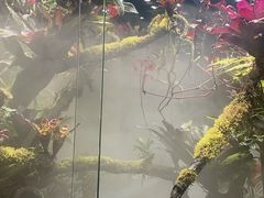 -五谷粥香(中华店)