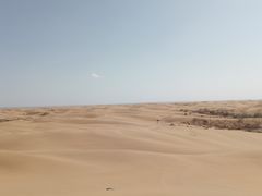 -恩格贝生态旅游区