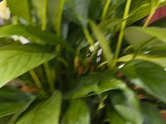 -康熙养生SPA·轻奢足道(江宁万达店)