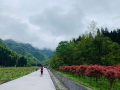-武隆天坑寨子景区