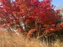 -大钟寺古钟博物馆