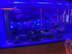 -上和臻品中国菜(花园街店)