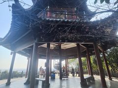 -杭州半山国家森林公园