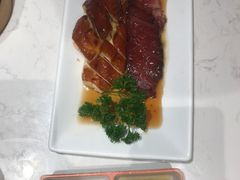 -南枝记