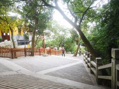 -灵岩山风景区