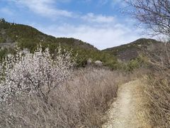 -北京西山国家森林公园