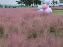 -汉长安城未央宫国家考古遗址公园