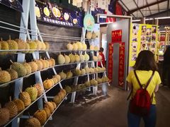 -都念榴莲·城市榴莲