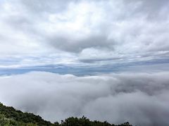 -白草畔自然风景区