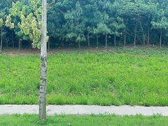 -南京市无想山景区