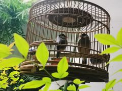 -31号公馆(黄兴广场白果园店)