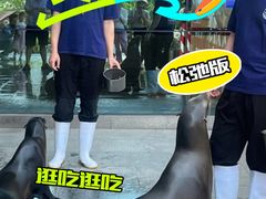 -烟台海昌鲸鲨海洋公园
