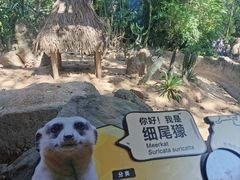 -广州长隆野生动物世界