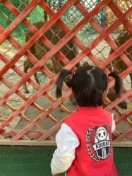 -萌宠亲子动物乐园(槐房万达店)