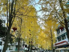 -河坊街景区