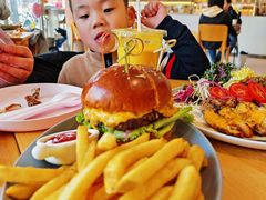 -WHEN PIGS FLY当猪飞