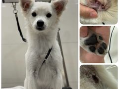 -悠尼宠物·独立低压伊珊娜洗护·美容·寄养(兰谷路店)