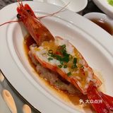 实在没忍住点了杯青提油柑！尽然！连这个也惊喜到了