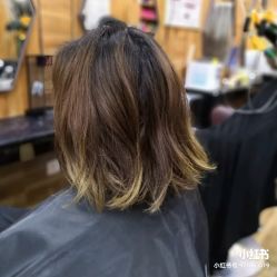 -臻美风剪云