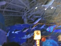 -烟台海昌鲸鲨海洋公园