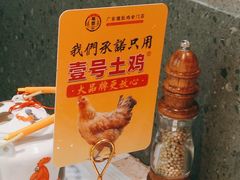 -顺德公广东猪肚鸡·煲仔饭(白石洲店)
