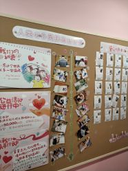 -doladola(徐家汇店)